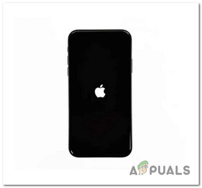 The Apple logo appearing on the screen