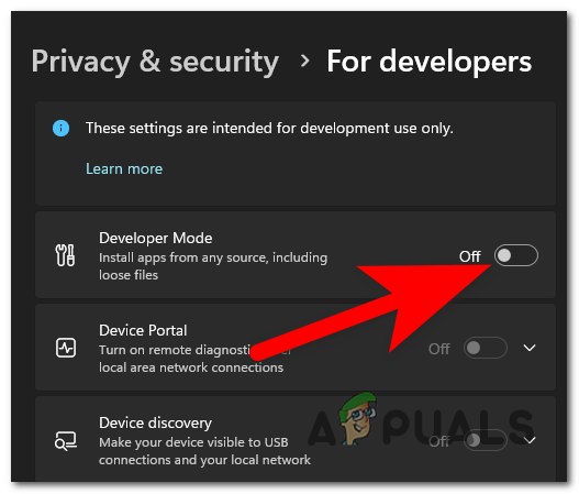 Enabling the Developer mode