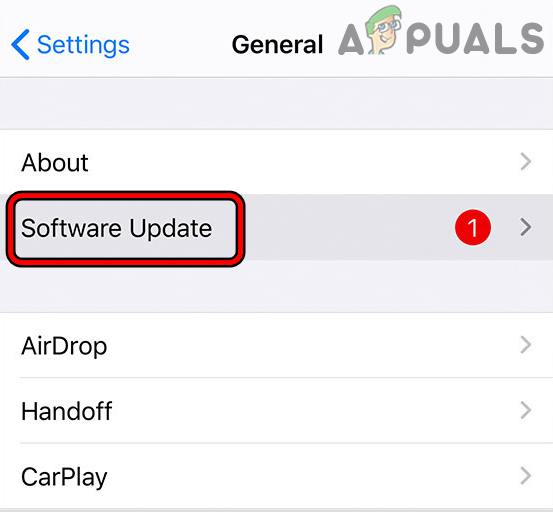 Open Softwre Update in the General Settings of the iPhone