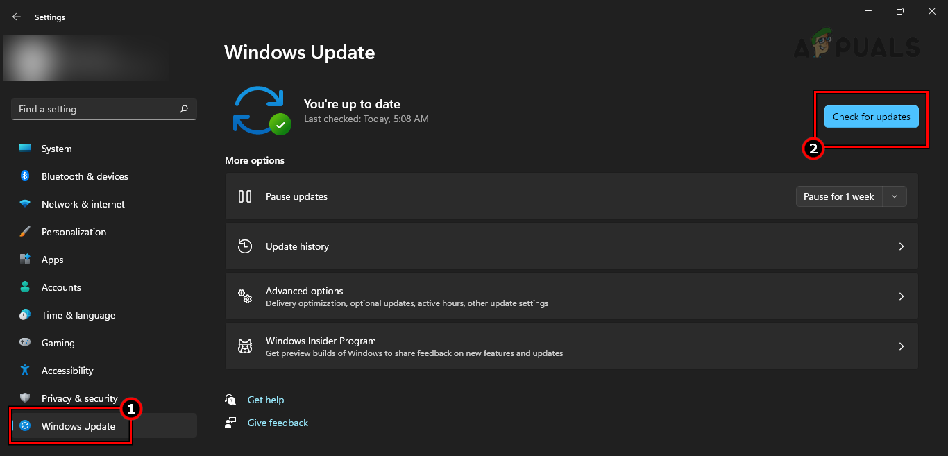 Check for Windows Updates