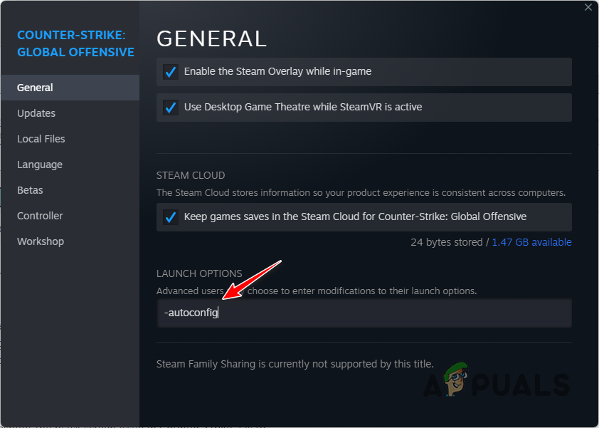 Adding -autoconfig to Launch Options