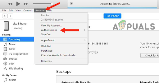  Click on Authorizations