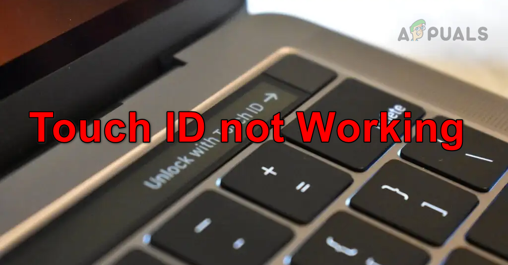 Touch ID not Working
