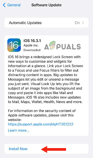 Choose the Install Now option