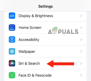 Tap on Siri & Search
