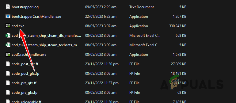 Running the cod.exe File