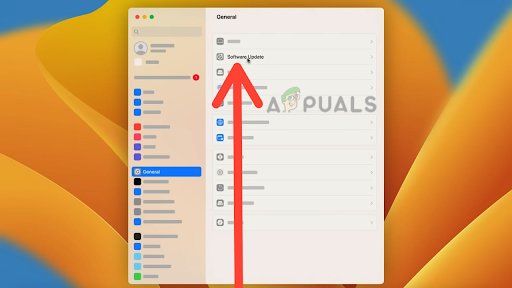 Choose the Software Update option