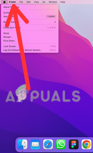 Open Finder on your Mac. You can do this by clicking on the Finder icon, then selecting File from the menu bar