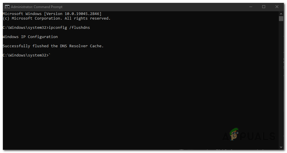 Wait for the process to complete. You should see a message stating, "Successfully flushed the DNS Resolver Cache."