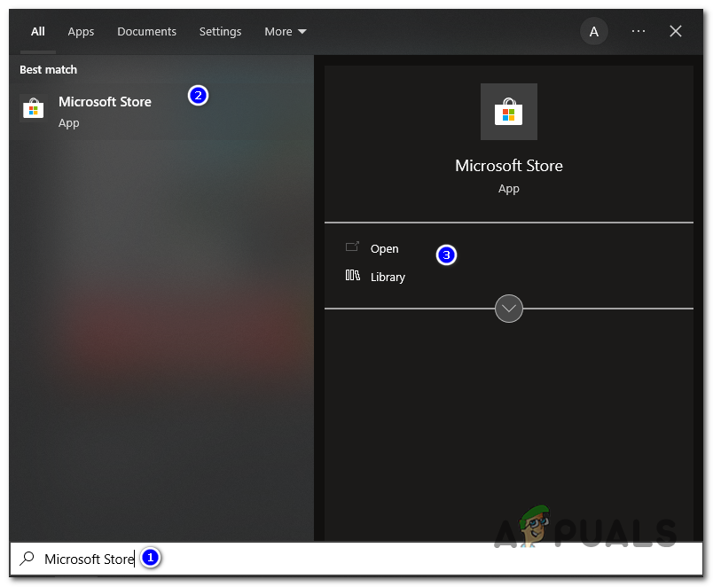 type "Microsoft Store" in the search bar and press open