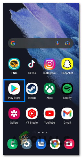 Open the Google Play Store
