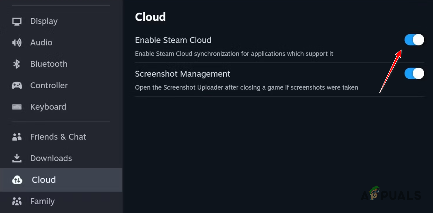 Enabling Steam Cloud