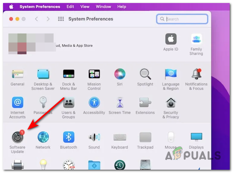 Within System Preferences, locate and select Software Update.