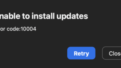 Fix Zoom error code 10004