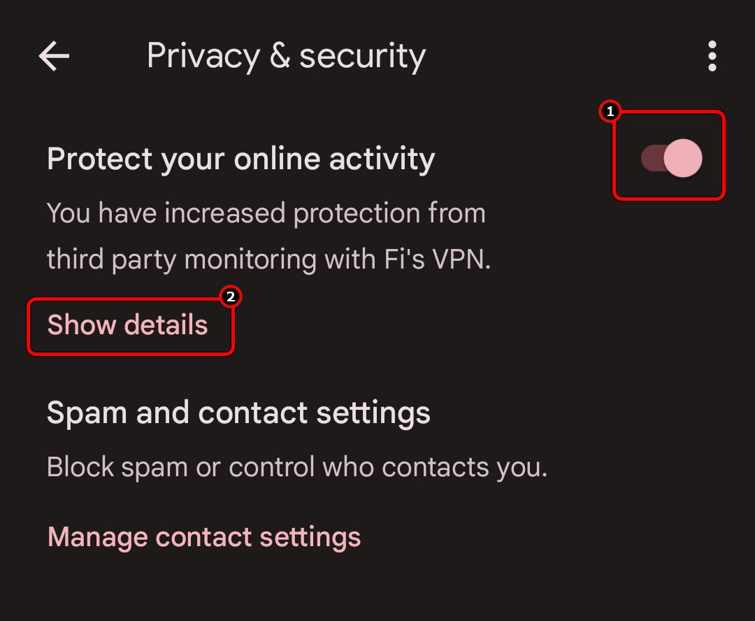 Open Show Details in the Privacy & Security Settings of the Google Fi App