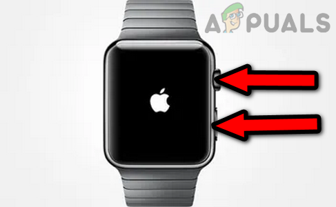 Force Restart the Apple Watch