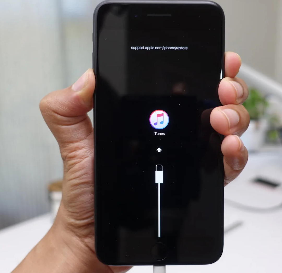 Boot the iPhone into the Recovery Mode