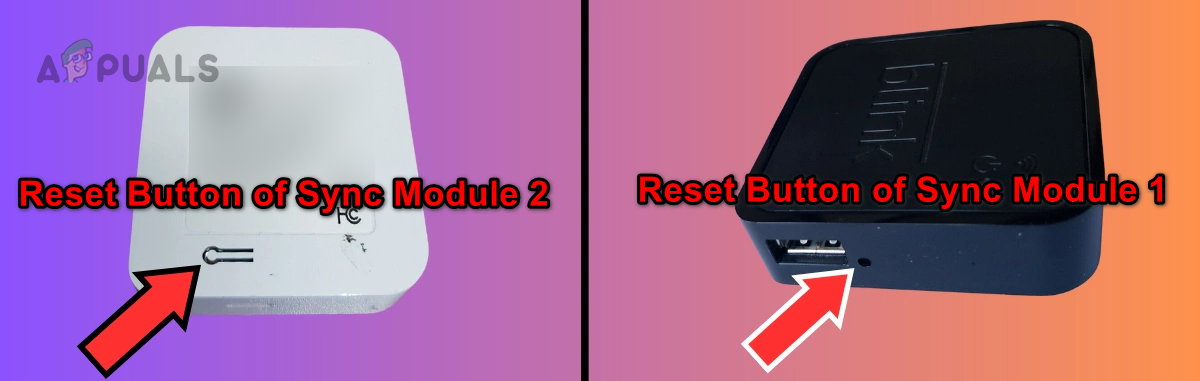 Reset Button of Blink Sync Mocule