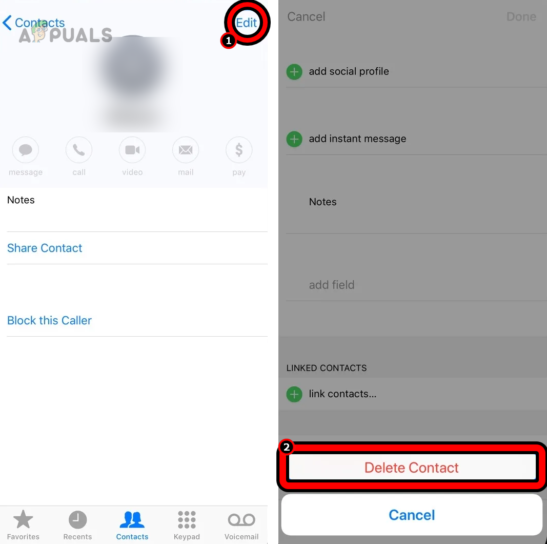 Delete the Problematic Contact on the iPhone