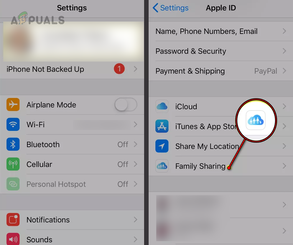 Open Family Sharing on the iPhone