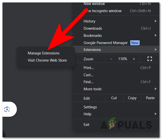 Opening the Manage Extensions section
