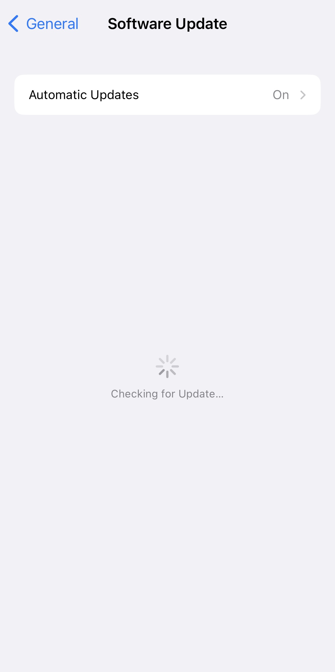 iPhone software update screenshot