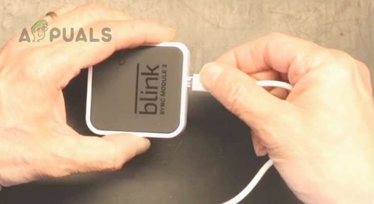 Unplug the Power Cable of the Blink Sync Module