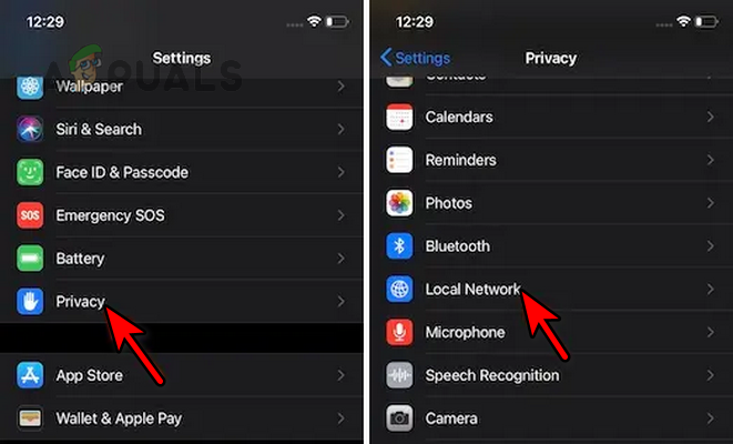 Open Local Network in the iPhone's Privacy Settings