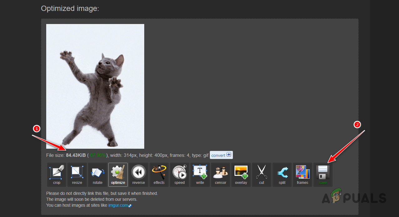 Downloading Optimized GIF