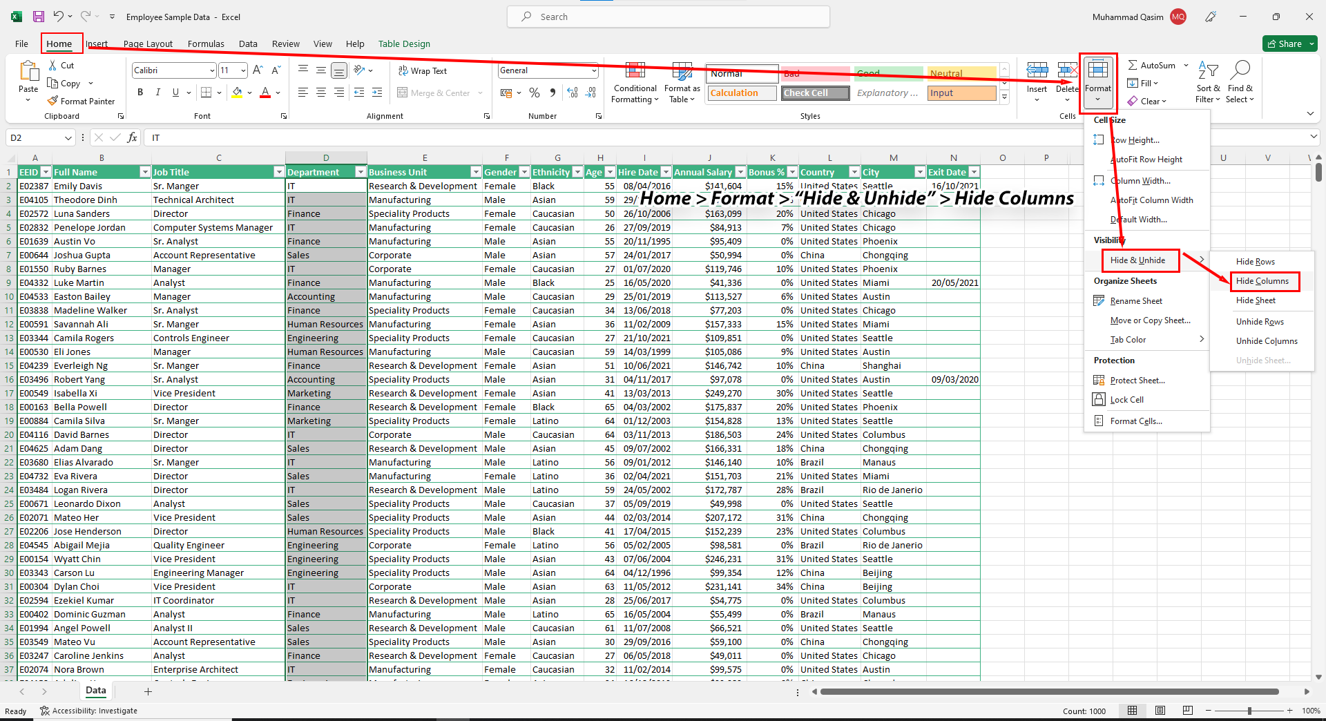 Excel Ribbon's Hide option
