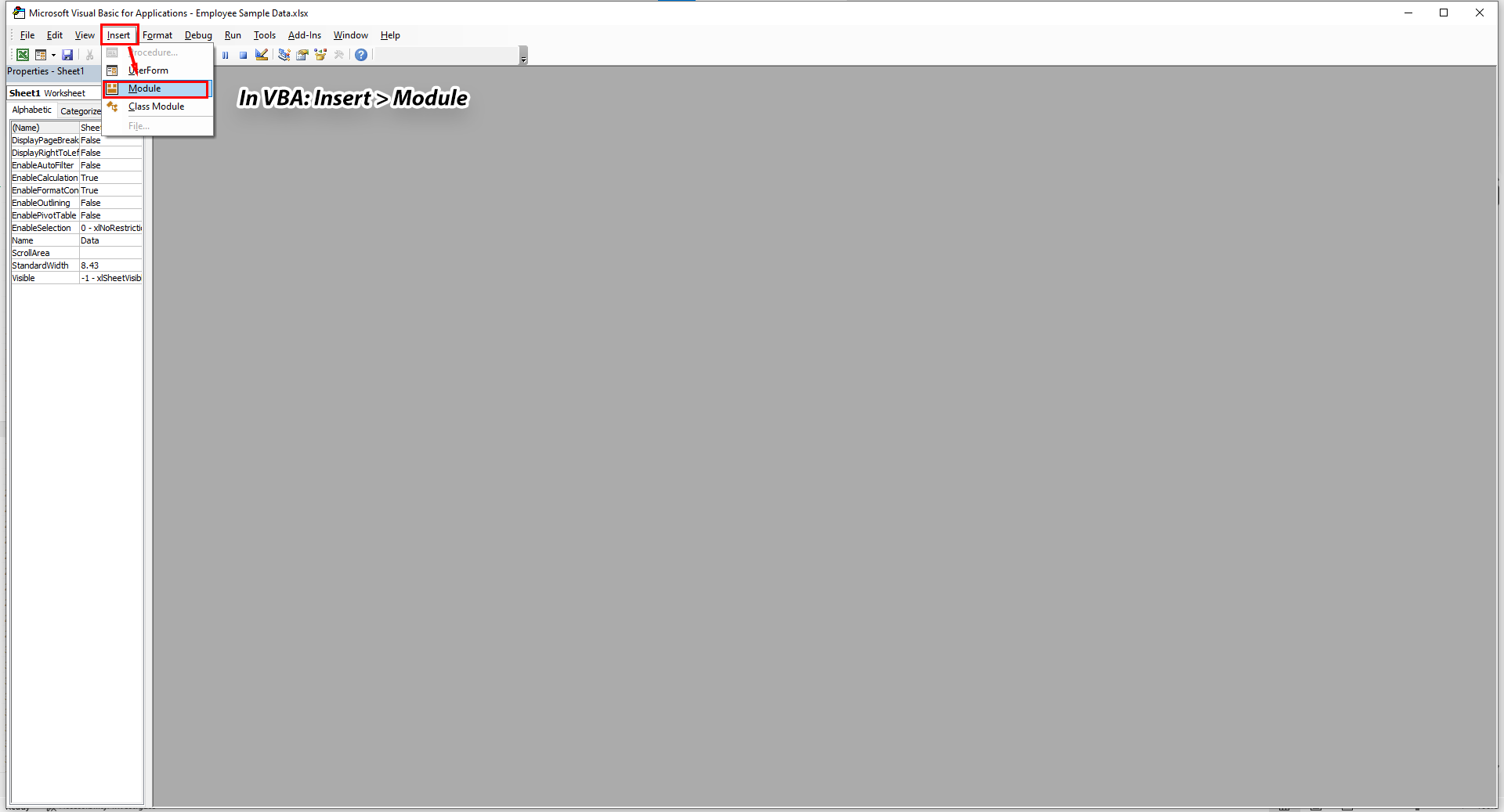 Inserting a VBA module