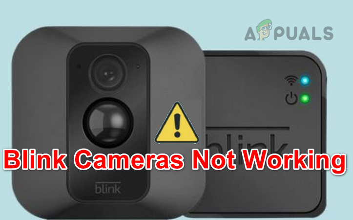 Are your Blink Cameras Not Working? Try these Fixes!