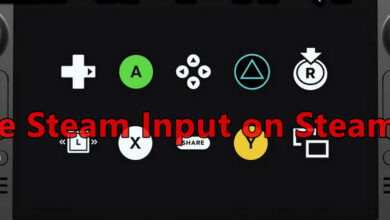 Disable Steam Input on Steam Deck