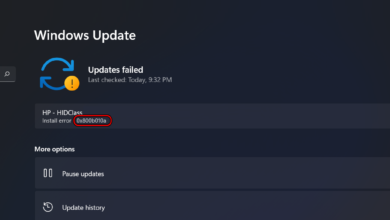 Windows Update Error 0x800B010A