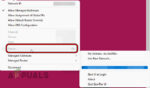 ZeroTier Installation Guide: How to Install & Use ZeroTier?