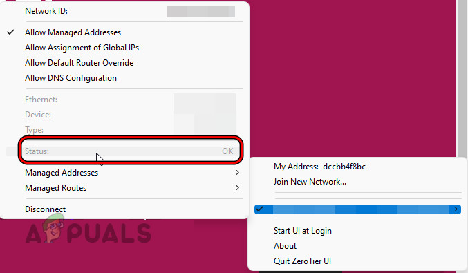 Check the Connection Status to the ZeroTier Network
