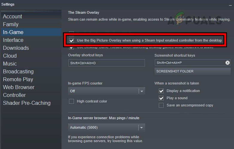 Enable Use the Pic Picture Overlay When Using a Steam Input Enable Controller