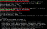 ZeroTier Installation Guide: How to Install & Use ZeroTier?