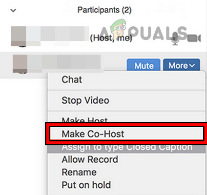 Make Co-host in a Zoom Meeting