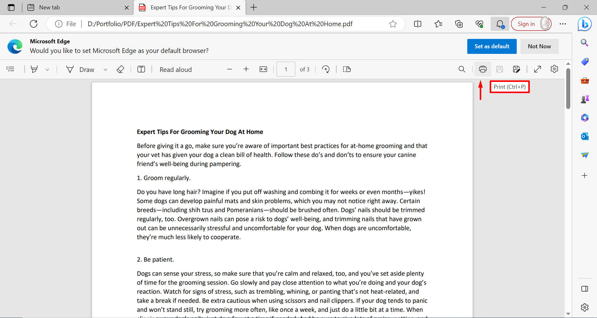 Access the print function using Ctrl + P