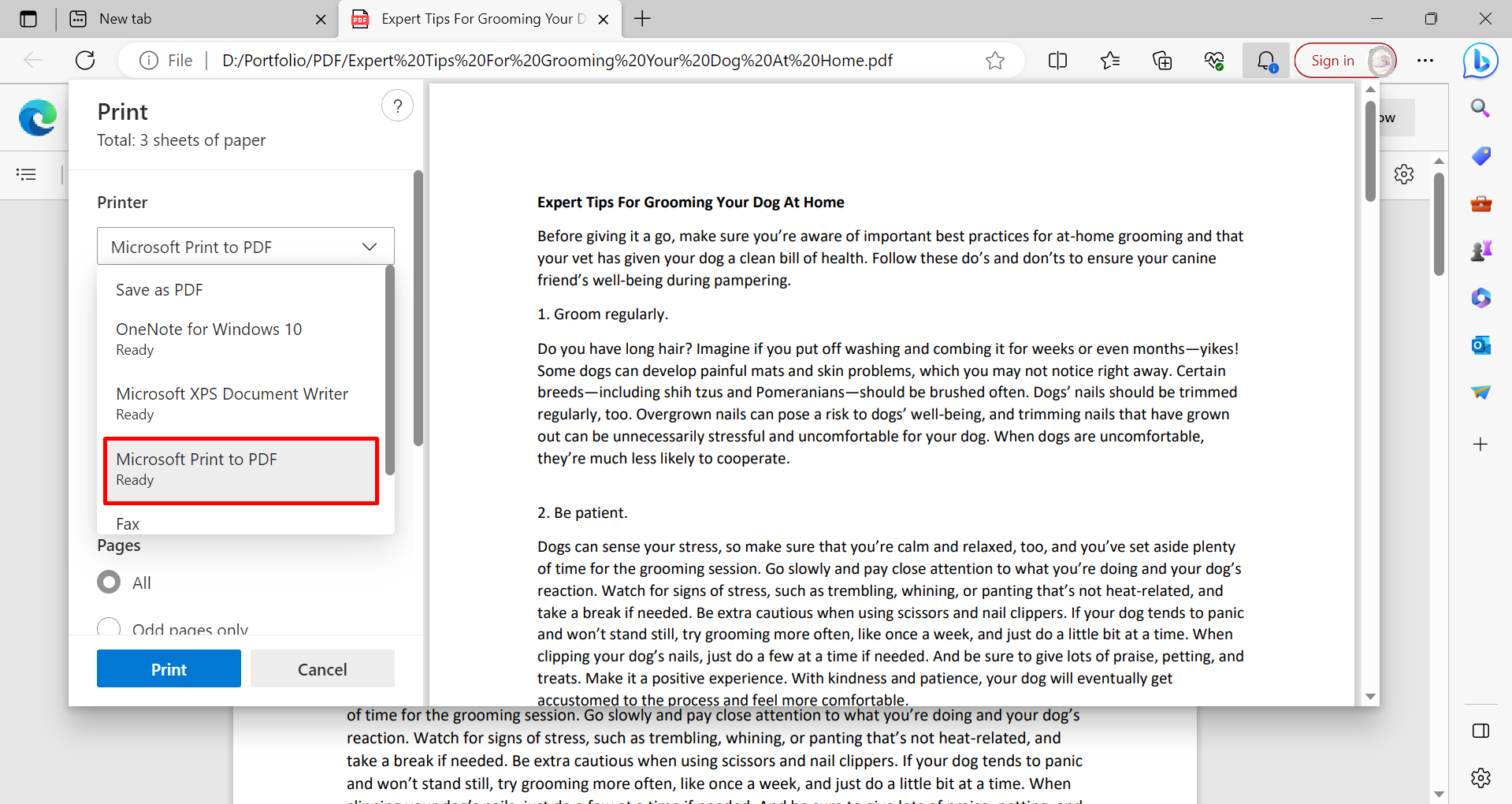 In the printer options, choose Microsoft Print to PDF