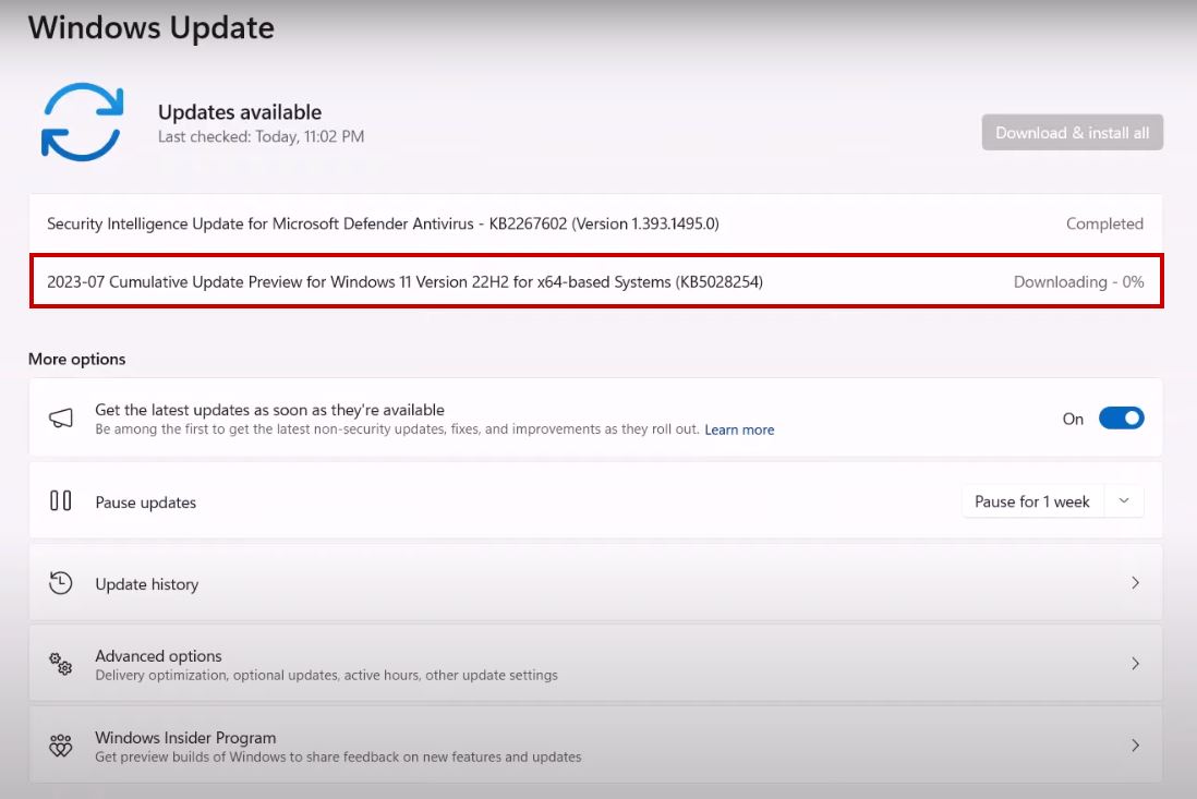 cumulative update preview for windows 11 version 24h2 not installing