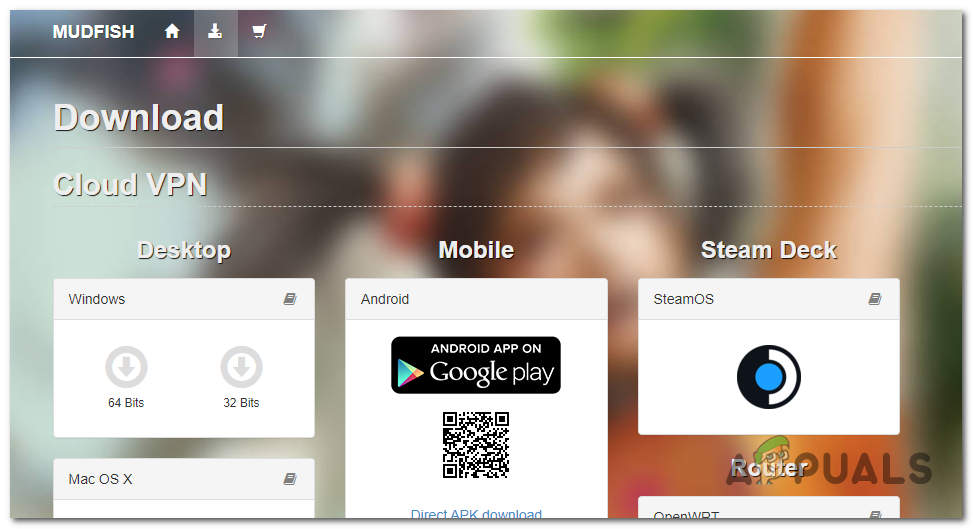 Downloading the VPN's installer