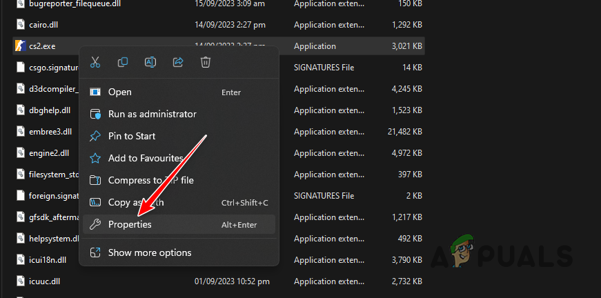 Opening Counter-Strike 2 Properties