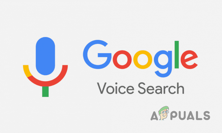 Google Voice Search