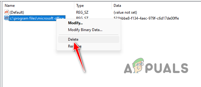 Deleting Registry Key