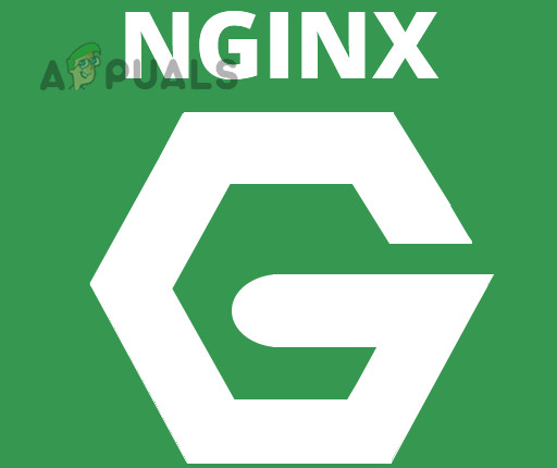 How To Fix "500 Internal Server Error NGINX" For Client & Server?