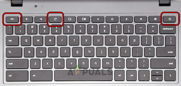 Press the Power, Refresh, and ESC Keys of the Chromebook