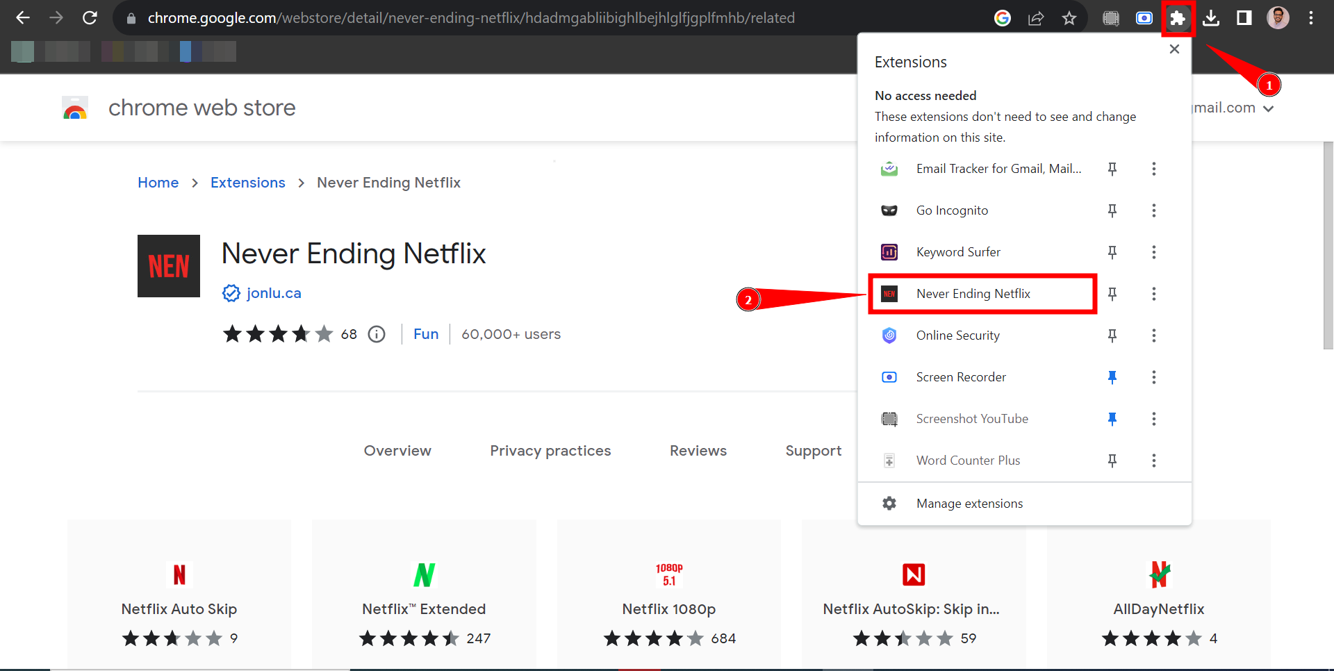Click on the Never Ending Netflix