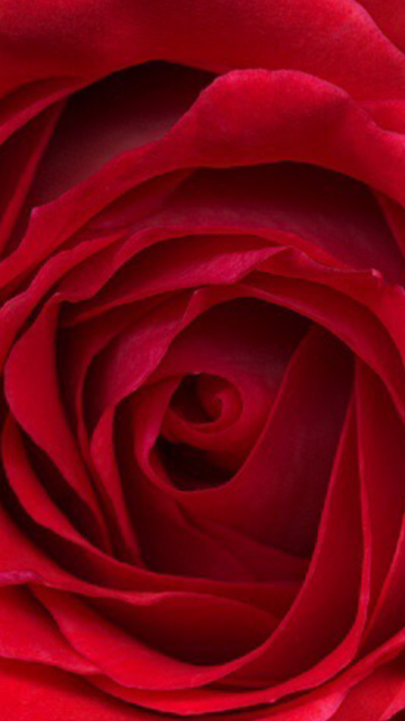 Original iPhone-Wallpaper